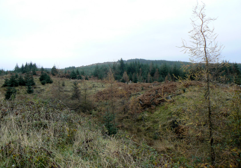 Carron Crag Carron Crag